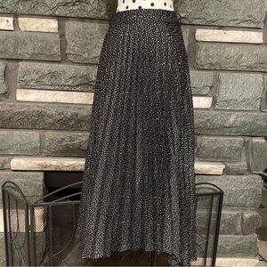 ZARA Pleated Silky Skirt